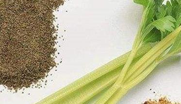 芹菜种植方法 芹菜种植方法步骤