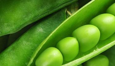 荷兰豆的营养价值与功效（荷兰豆的营养功效与作用）