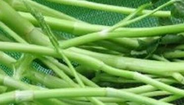 水芹菜的功效与作用 水芹菜的功效与作用及食用方法和禁忌