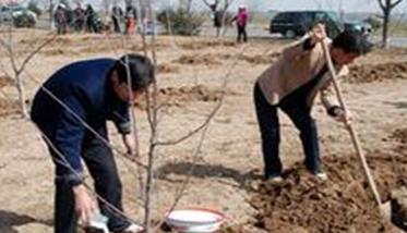 果园的深翻改土如何施行（苹果园的土壤为什么要进行深耕改土）