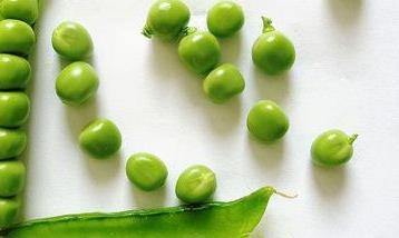 豌豆的营养价值和营养成分 豌豆营养成分