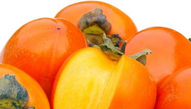 柿子的功效与作用 柿子的功效与作用及食用禁忌