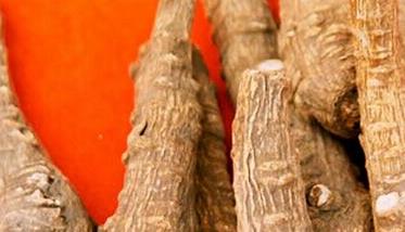 金针菜根的药用价值 金针菜根的药用价值是什么