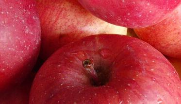 吃苹果有什么好处,功效有哪些 吃苹果有什么好处,功效有哪些吃