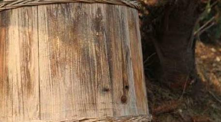 木桶养蜂有什么优缺点 养蜂的木桶