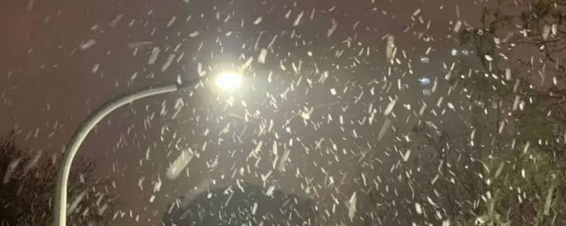 雨夹雪是不是看不到雪（雨夹雪有雪嘛）