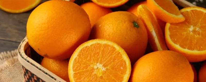 甜橙又被称为什么（甜橙是什么）
