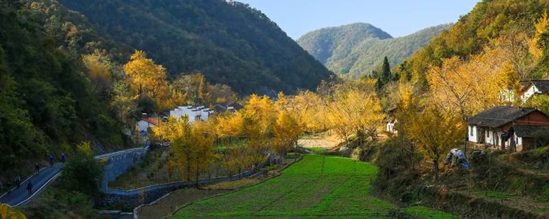 钱冲村是哪个省市（湖北钱冲村）