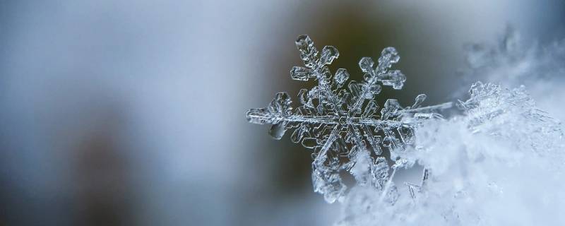 雪花的形状具备什么特点 雪花最基本的形状是哪三种