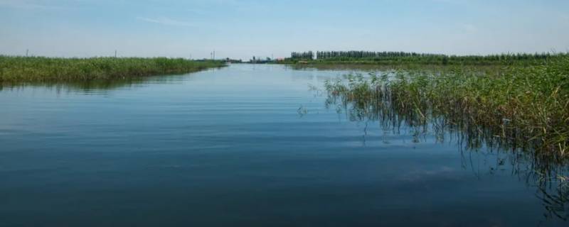 潴龙河在什么地方 潴龙河的水流到哪个地方了