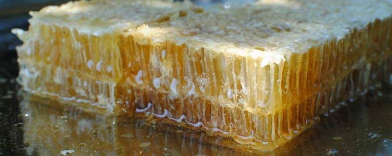 蜂巢蜜怎么保存 野生蜂巢蜜怎么保存