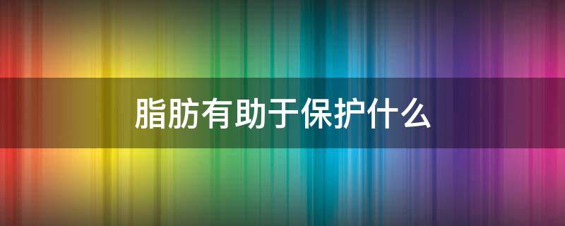 脂肪有助于保护什么 脂肪有助于保护什么地方