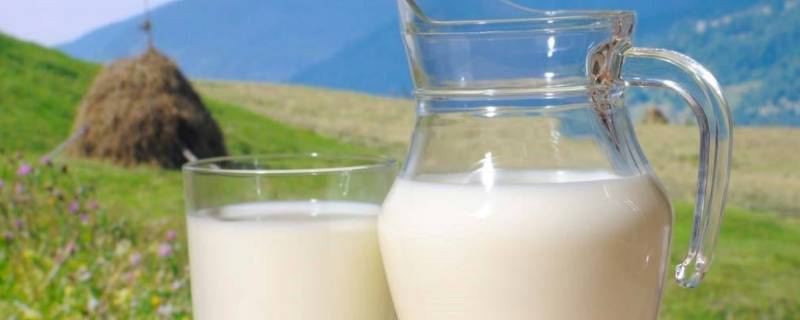 如何区别鲜牛奶和含乳饮料（如何区别鲜牛奶与含乳饮料）