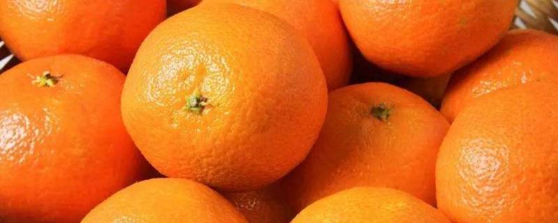 橘子顶部叫什么桔蒂 橘子是什么?