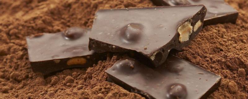 怎么判断是不是代可可脂 怎么判断是不是代可可脂巧克力