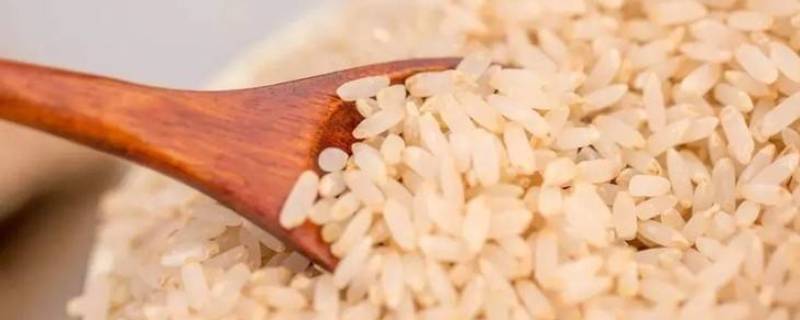 留胚米和大米的区别（留胚米是什么米）