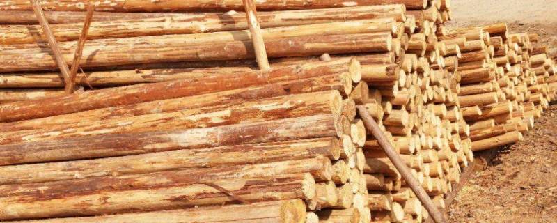 简述木材的腐朽原因及防腐方法 简述木材的腐朽原因及防腐方法是什么