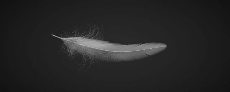 羽毛通常分为哪三种 羽毛通常分为什么和什么三种