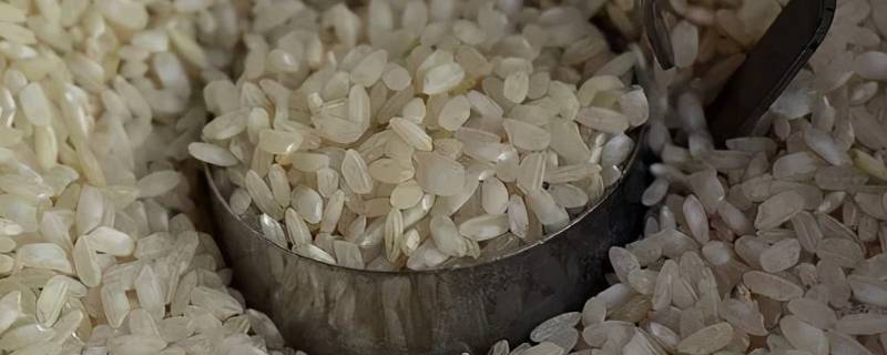 陈米如何煮出新鲜米的味道 陈小米如何煮出新鲜米的味道