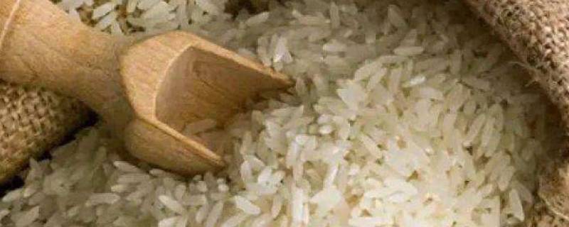 大米怎样挑选质量好的米 怎么选大米哪种米好