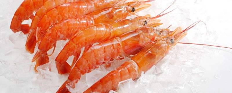 冷冻的红虾是熟的吗 红色冻虾是熟的吗