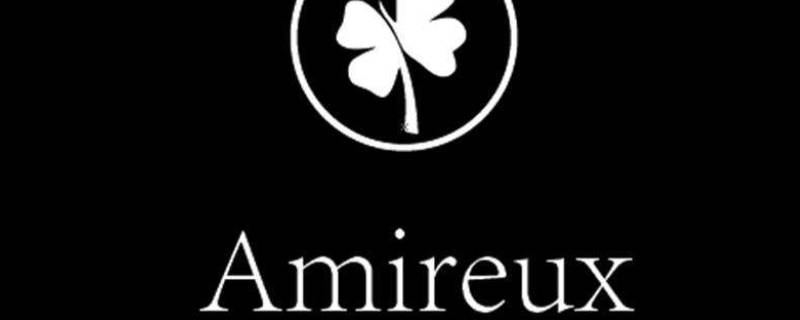 Amireux寓意（amireux有什么特殊意义）
