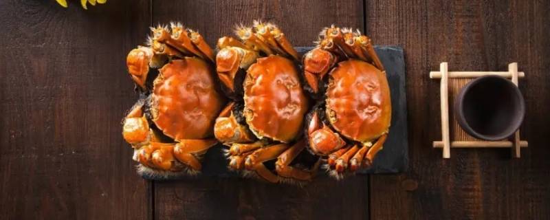 螃蟹吃啥（螃蟹吃啥东西）