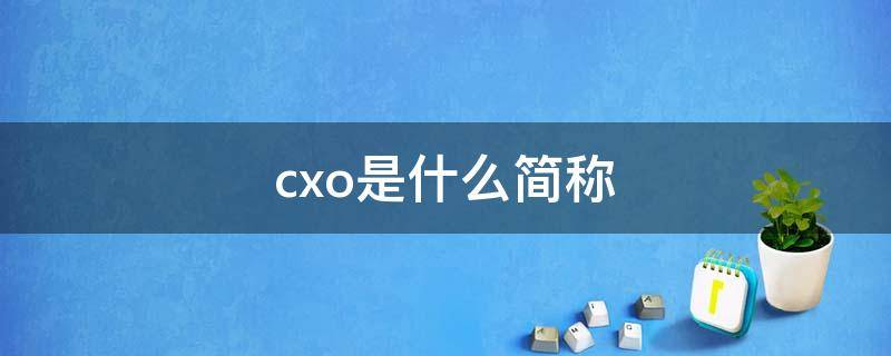 cxo是什么简称 cxo的英文全称