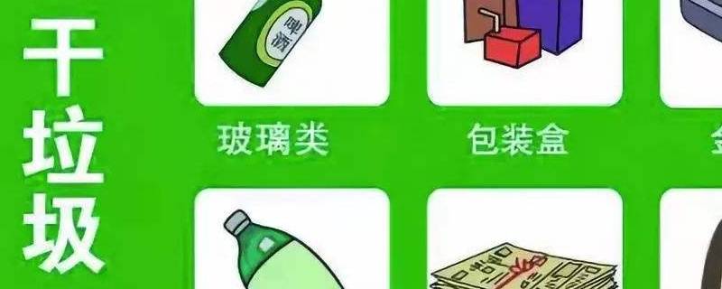 什么是干垃圾（粽叶为什么是干垃圾）