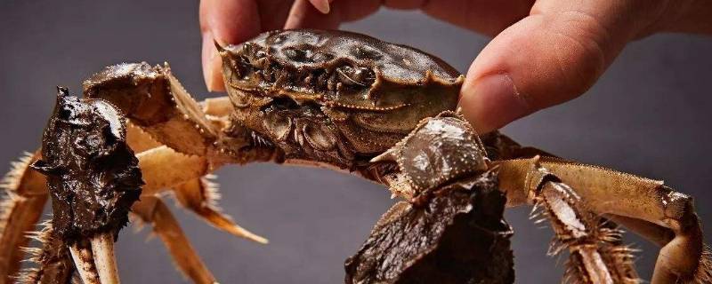 如何保存螃蟹（如何保存螃蟹长时间存活）