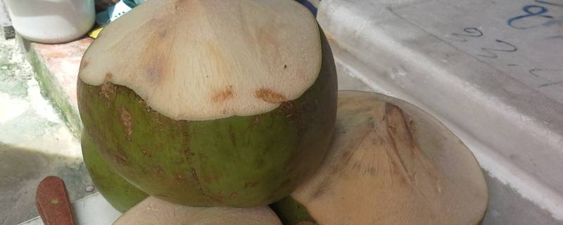 椰子怎么切 椰子怎么切开吃里面的果肉?