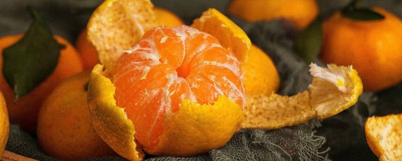 橘子产地主要在哪个省 橘子的原产地在中国的哪里