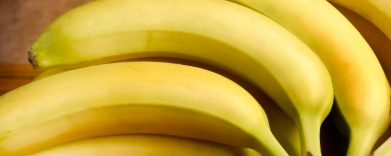 香蕉的寓意是什么意思 香蕉是什么的象征
