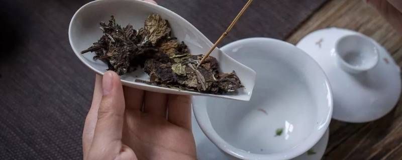 茶饼怎么泡茶 茶饼怎么泡茶喝