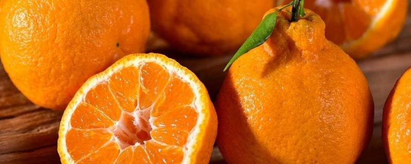 丑桔和耙耙柑外型上怎样区分 耙耙柑与丑橘一样吗