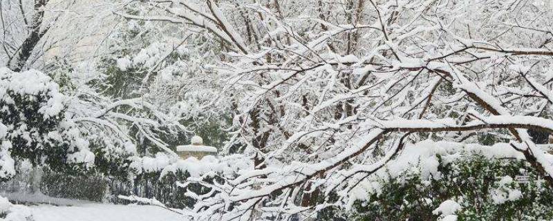 气温骤降注意保暖问候语（气温骤降注意保暖问候语写爸好）