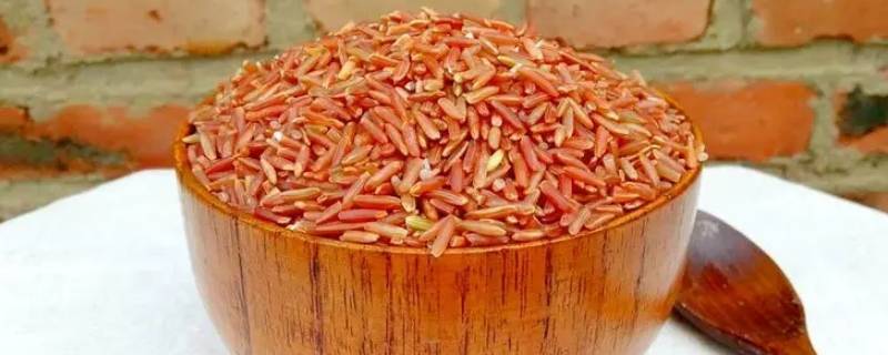 红色米是什么米 一种红色的米