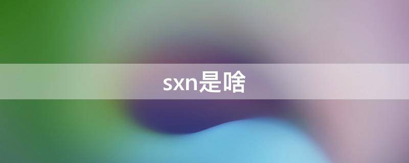 sxn是啥 sxnb是什么意思