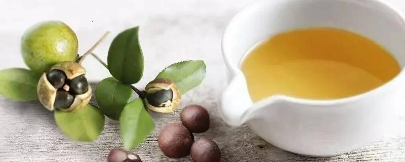 山柚油是山茶油吗 山柚油和茶油的区别