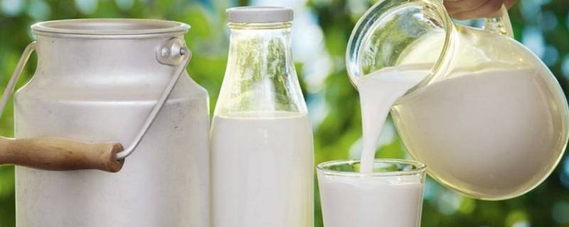 纯牛奶的产品标准代号是什么（纯牛奶标准编号）