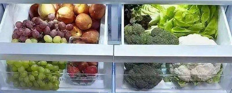 冬天菜需要放冰箱吗（冬天菜放冰箱还是放外面）