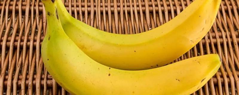 香蕉含水量是多少（香蕉含水量百分之几）