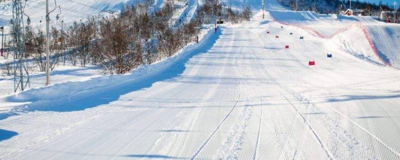 雪场的雪为什么不容易化 什么样的雪场