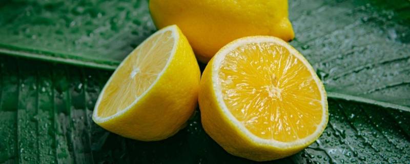 柠檬是水果吗（柠檬是什么季节的水果）
