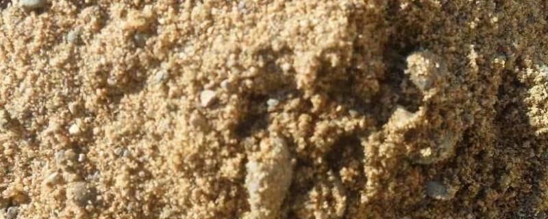 砂的表观密度（砂的表观密度实验报告总结）