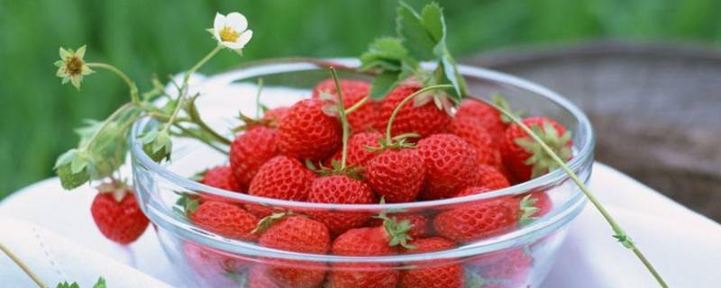 冬天的草莓放冷藏还是常温 草莓放保鲜还是常温