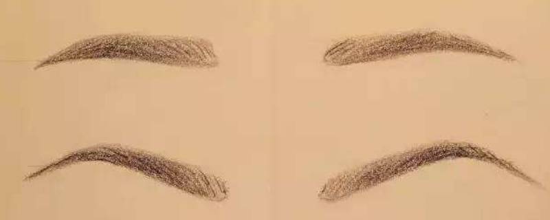 眉梢是哪个部位 眉梢指的是眉毛哪个部位