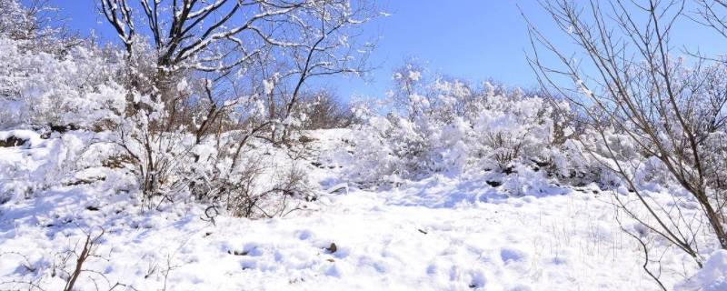 下雪要达到几度 要达到多少度才能下雪