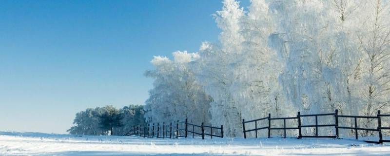 形成降雪必须具备哪些条件（降雪的基本条件）