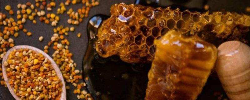 什么是蜂胶（什么是蜂胶怎么形成的）